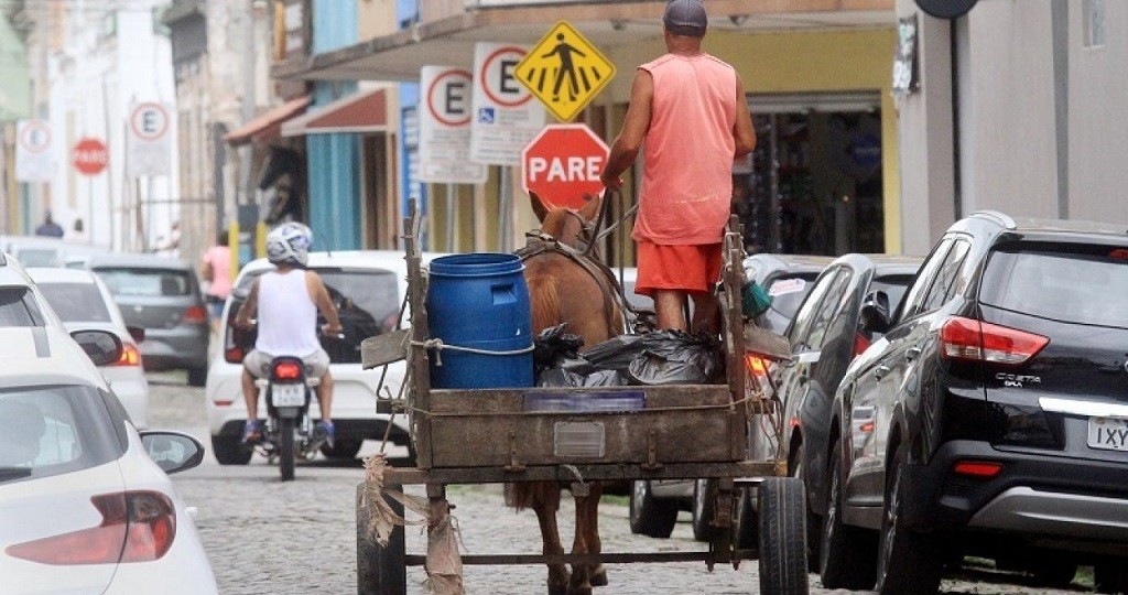 Pelotas regulamenta lei que proíbe uso de veículos de tração animal no transporte de materiais de construção