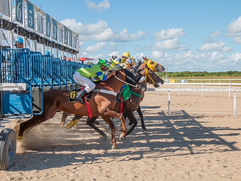 Reaberta temporada do turfe no Jockey Club de Pelotas