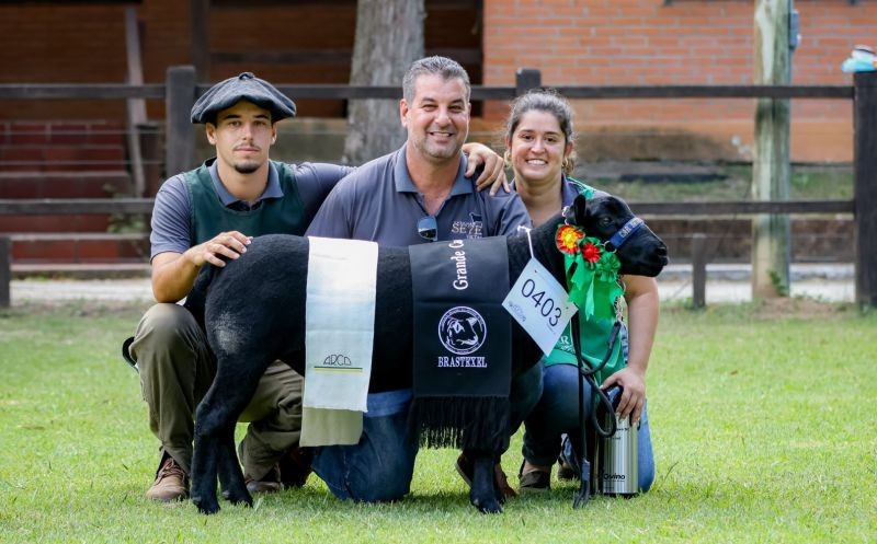 São José do Norte se destaca na ovinocultura com vitória da Cabanha Sete Voltas na 13ª Feira Nacional do Texel