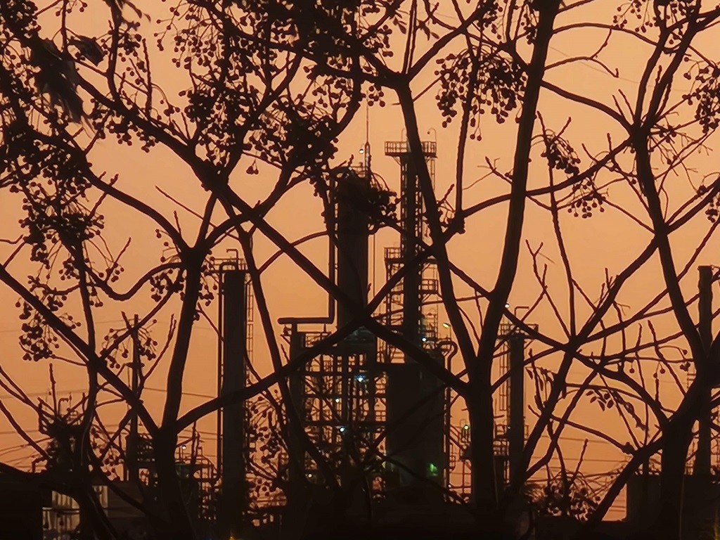 Autorizações da ANP para produção de Bio‑GL aceleram integração logística no Rio Grande do Sul