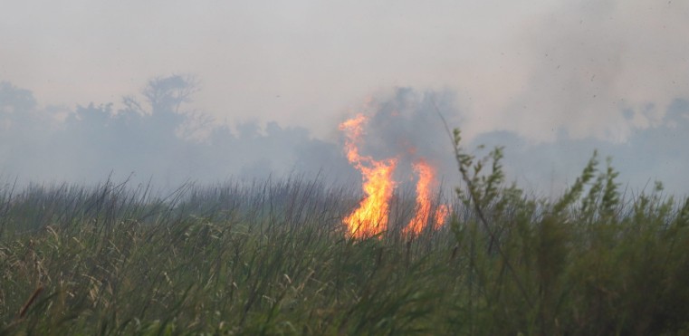 Incêndio em vegetação do Pontal da Barra assustou moradores em Pelotas