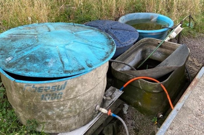 Crescimento de focos do mosquito da dengue reforça alerta no município