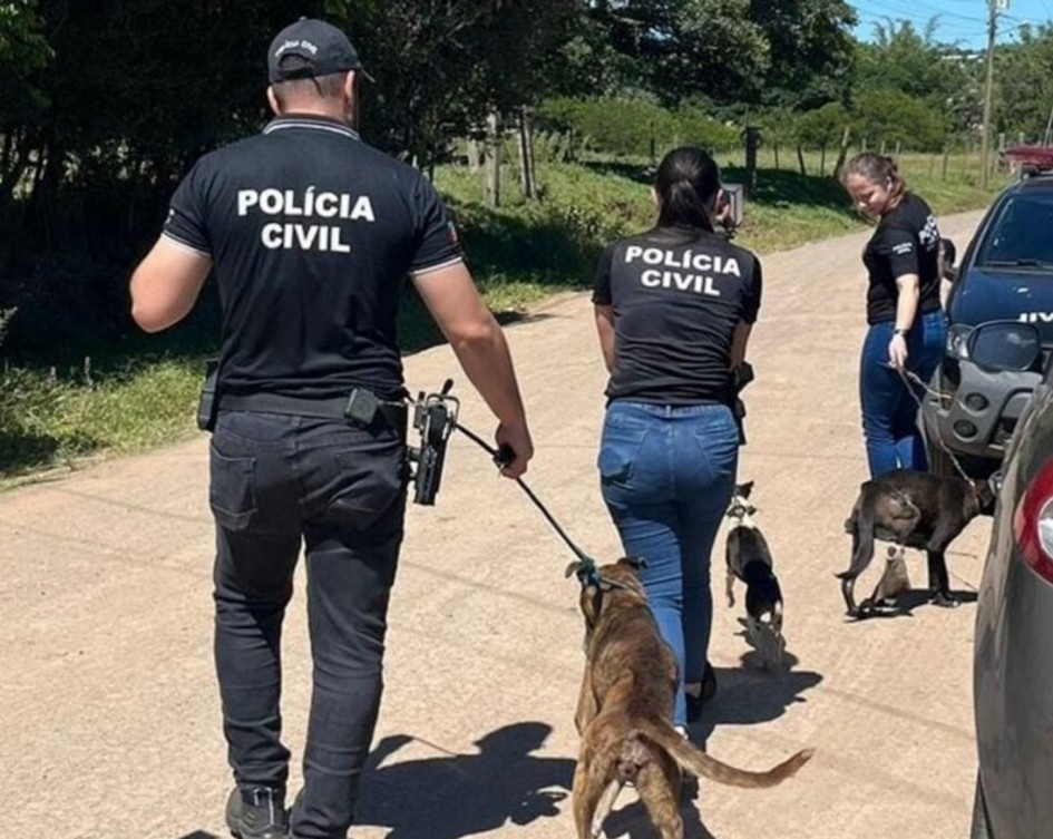 RS conta com 62 delegacias com o selo Amiga dos Animais para investigar casos de maus-tratos