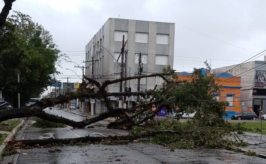 Pelotas decreta situação de emergência após tornado do dia 12
