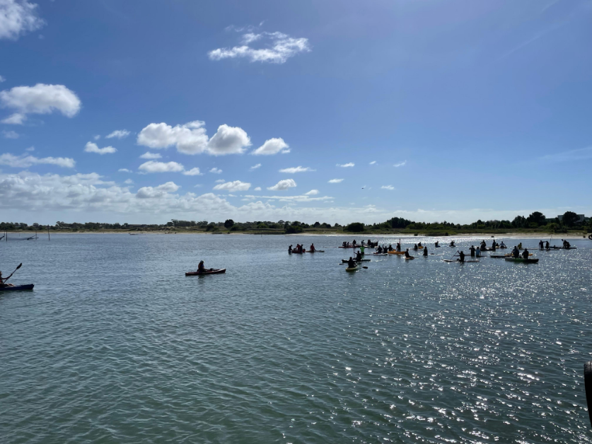 Remada Pela Conservação acontece domingo reunindo praticante de modalidades náuticas a remo e a vela
