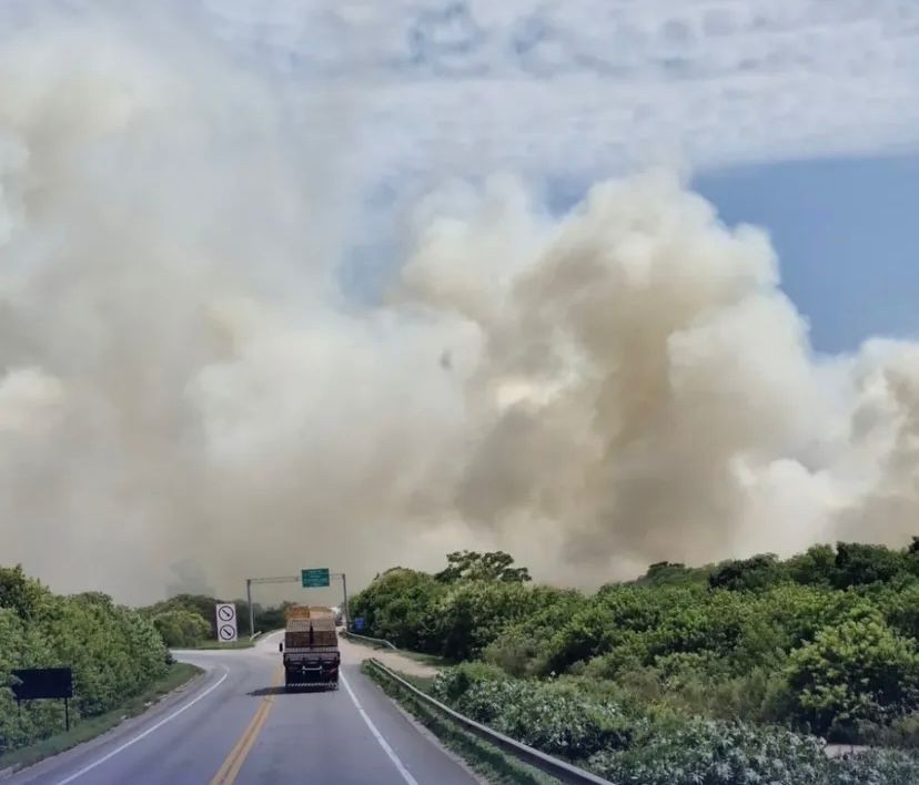 Fogo em vegetação na BR-392 cria grande nuvem de fumaça em Pelotas