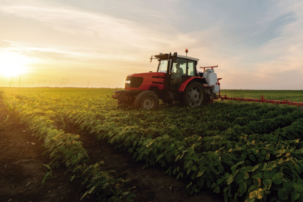 Inscrições abertas para cursos gratuitos de qualificação rural em São José do Norte