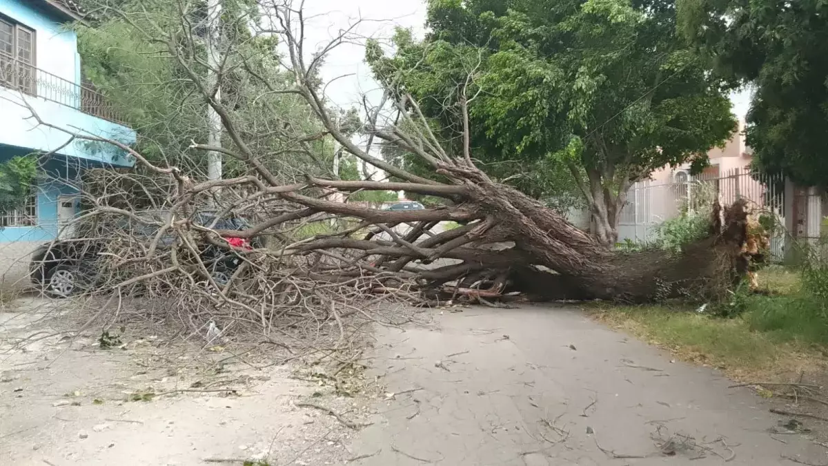 Defesa Civil registra estragos em 26 cidades após temporais no RS