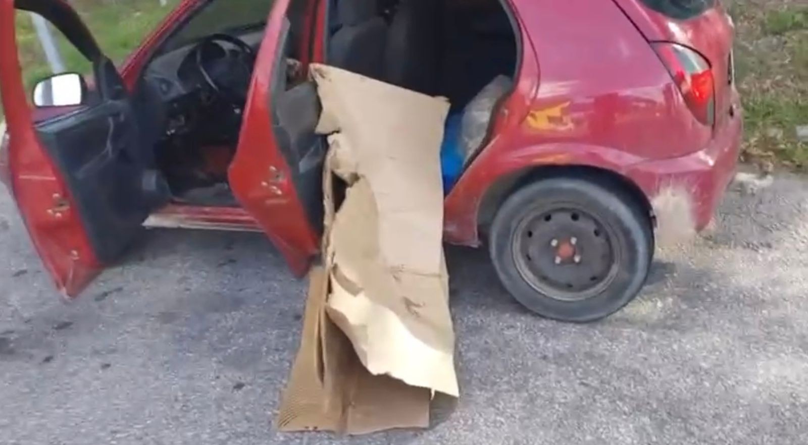 PRF flagra transporte irregular de animais silvestres e pescado na BR-392, em Rio Grande