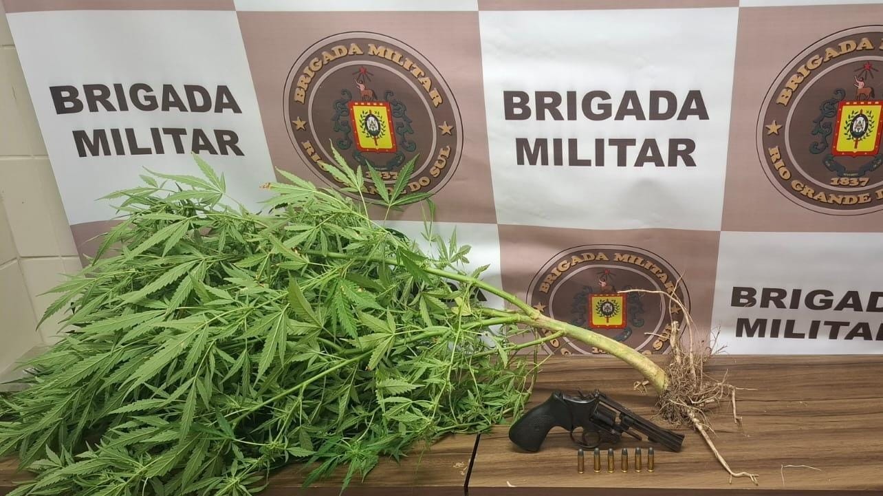 Fuga durante abordagem termina com apreensão de arma, munições e pé de cannabis em Rio Grande