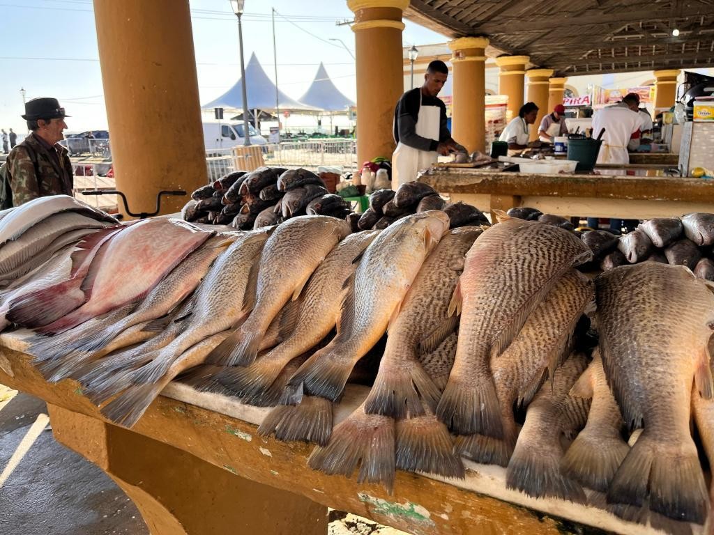 Prazo aberto para participação na Feira do Peixe da Semana Santa em Rio Grande