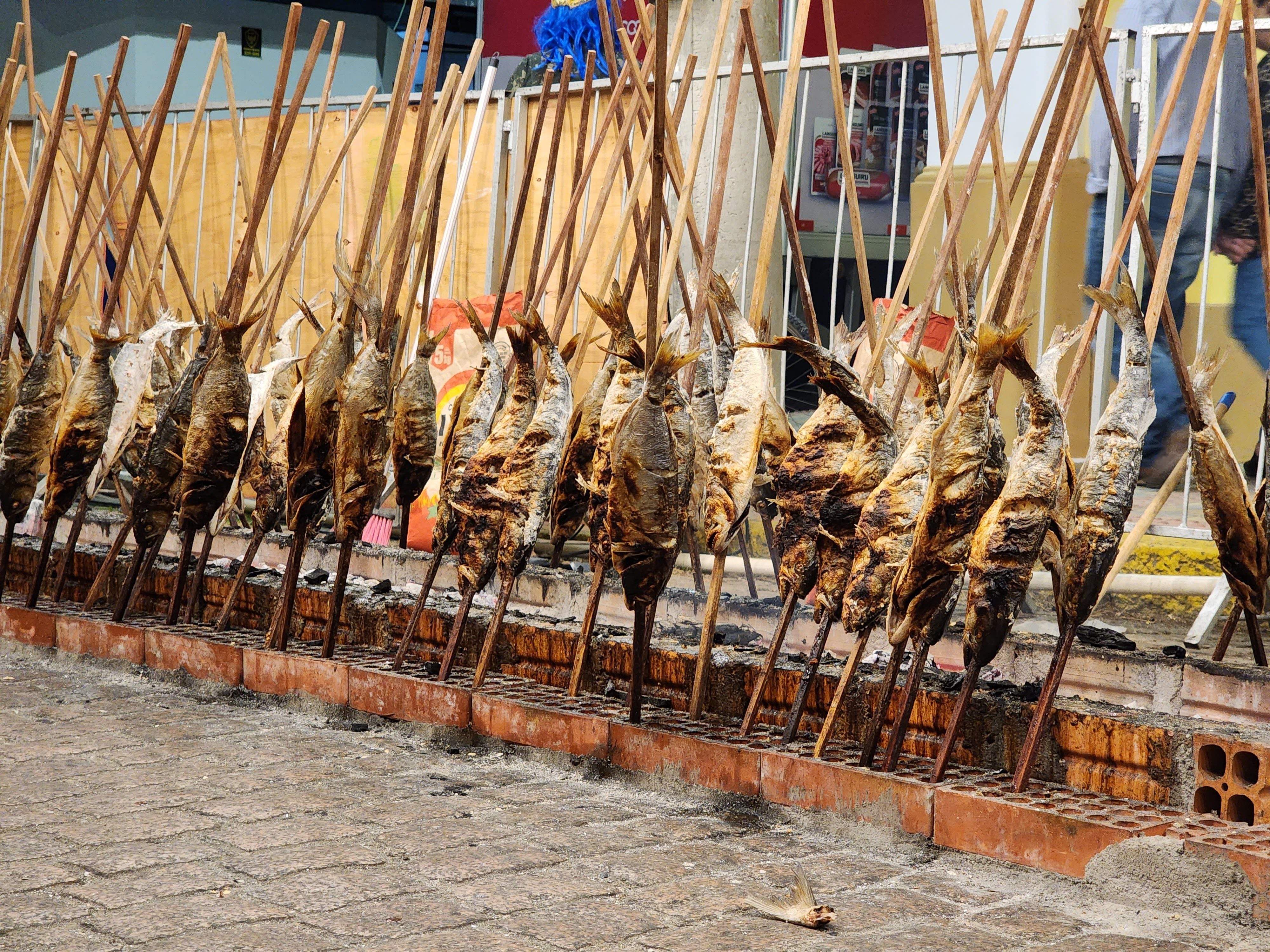 Festimar aposta na tainha assada e valoriza tradição local