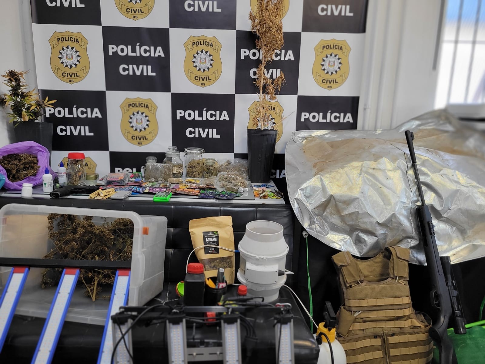  Polícia Civil descobre casa usada como centro de produção de maconha e prende quatro pessoas no Balneário Cassino