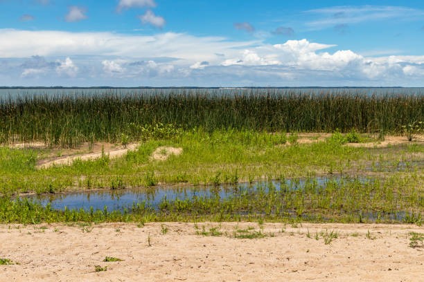 SMMA promove Junho de Debate e Ação Ambiental com foco nas marismas e enfrentamento da crise climática