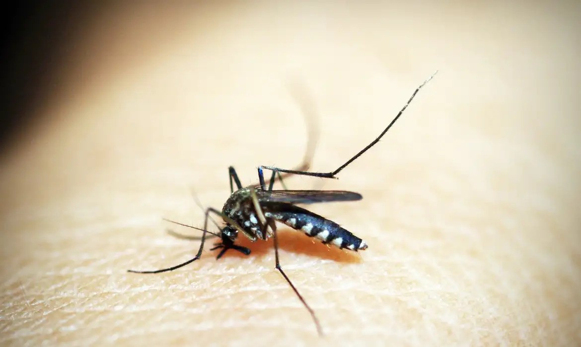 Casos de dengue seguem estáveis no município do Rio Grande, mas número de focos do mosquito cresce