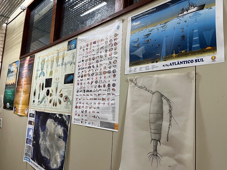 FURG integra projeto internacional que estuda os ecossistemas do Oceano Atlântico
