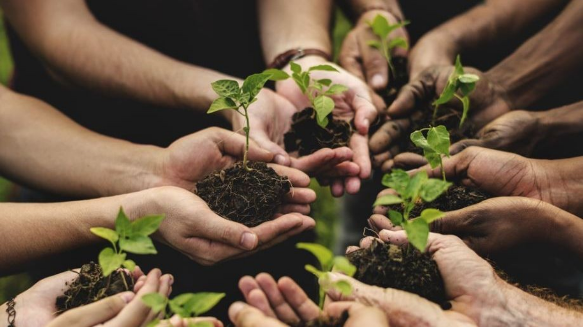 Dia Verde marca encerramento do projeto Junho Sustentável do Grupo Oceano