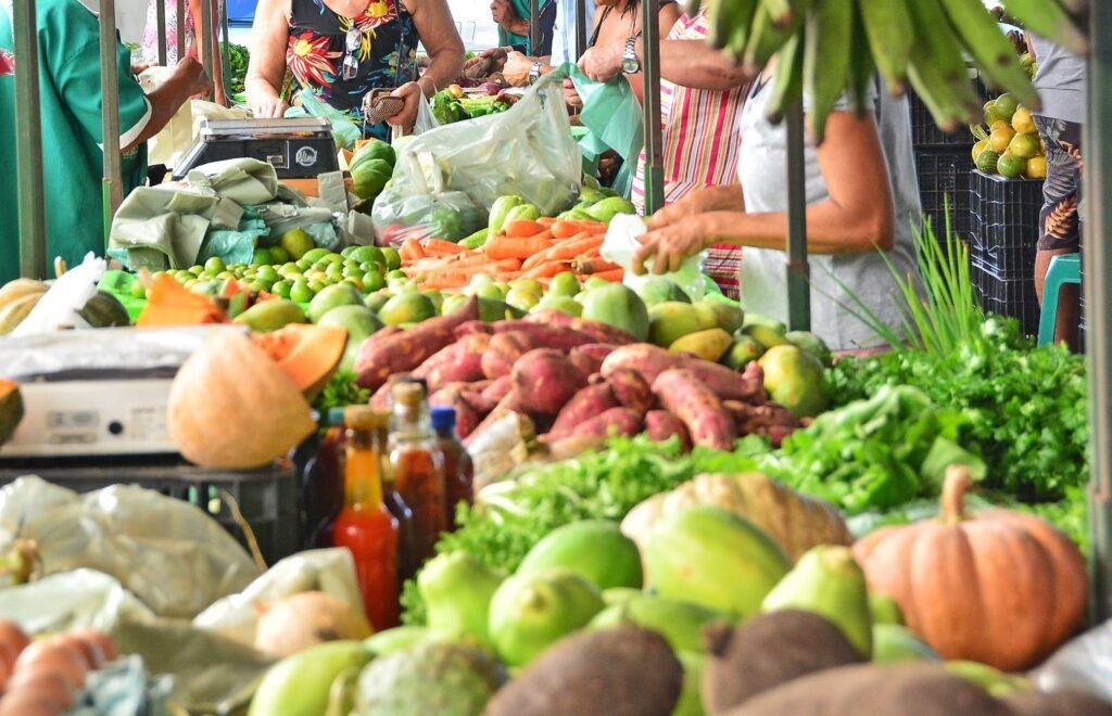 Recarga do Ticket da Agricultura Familiar já está disponível para servidores municipais de São José do Norte
