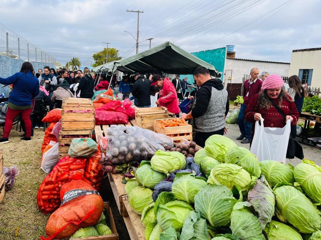 Programa de Aquisição de Alimentos beneficia 750 famílias com mais de 9,5 toneladas de hortifrutis