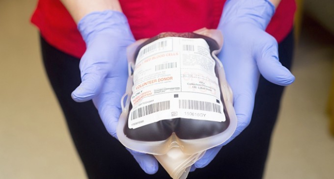 HemoPel faz apelo urgente por doações de sangue tipo O- e A-