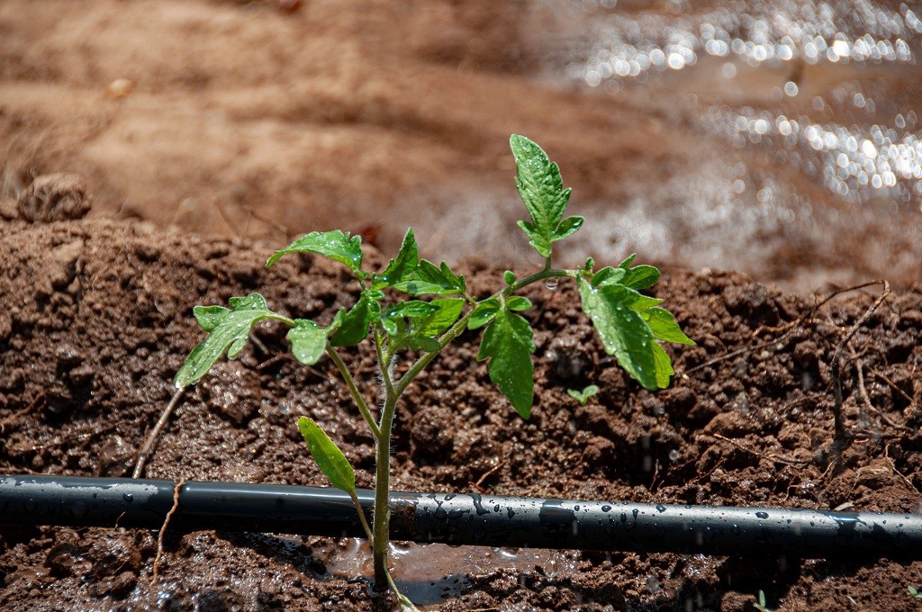 Últimos dias para produtores rurais se inscreverem no Programa Irriga+ do governo do Estado