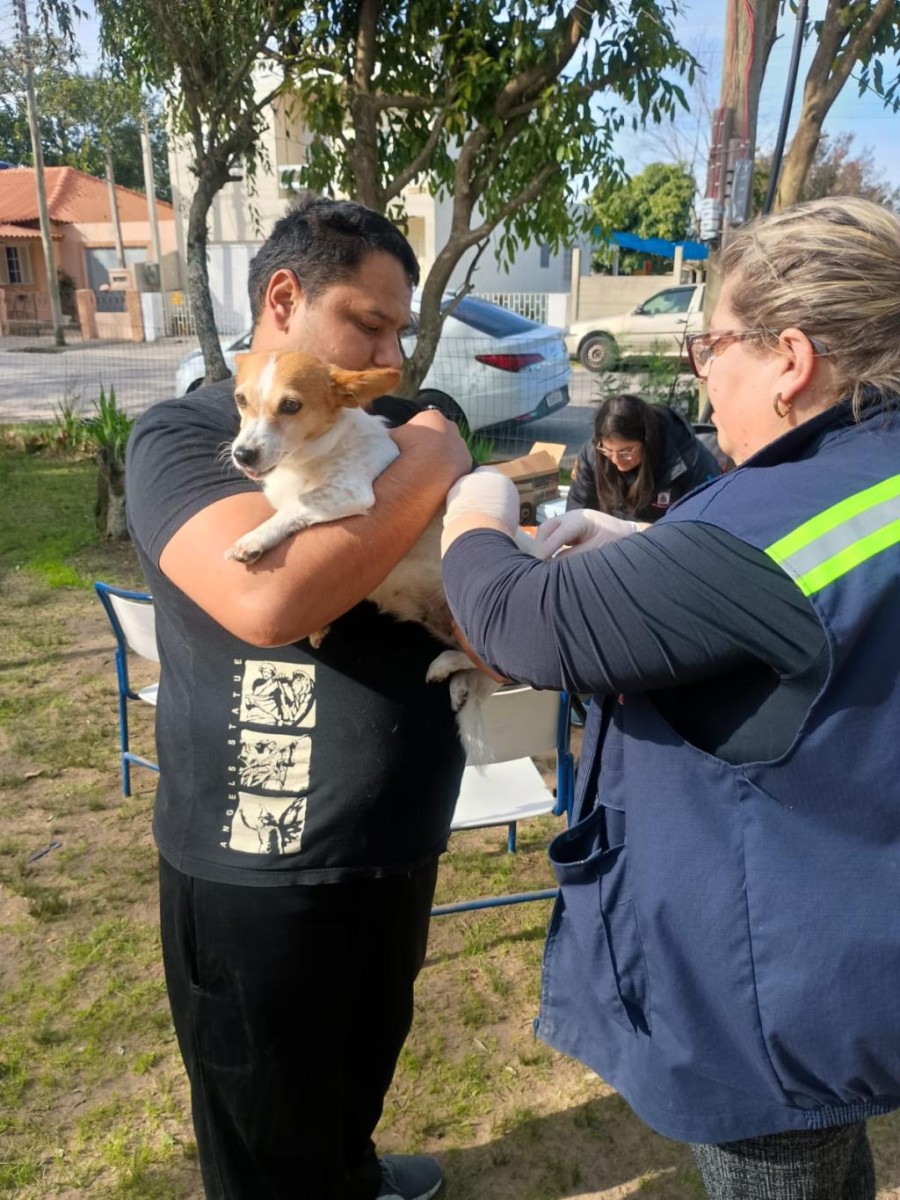 Vigilância vacinou mais de 60 animais contra a raiva no distrito do Povo Novo