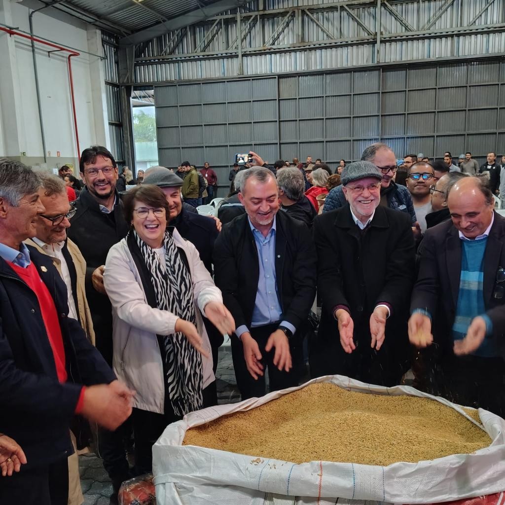 Rio Grande participa da retomada dos estoques públicos de arroz com investimento de R$ 30,7 milhões no RS