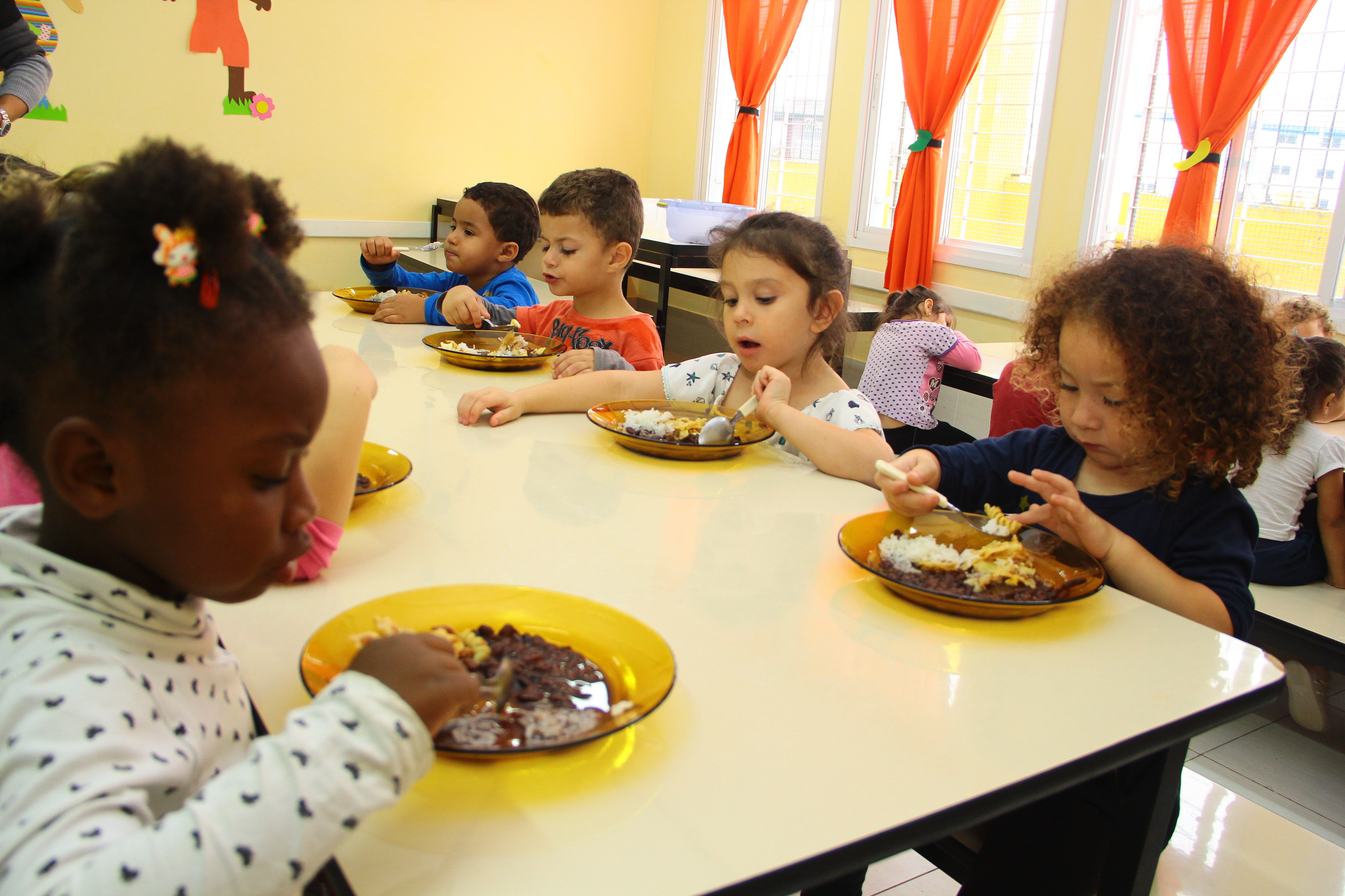 Eleições para o Conselho de Alimentação Escolar acontecem em 27 de agosto