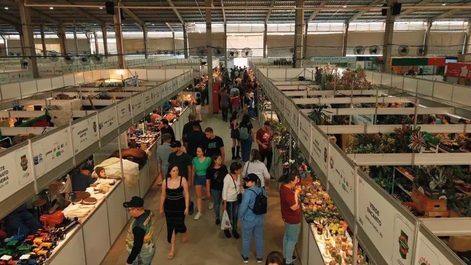 Expointer 2025 abre com recorde de expositores no Pavilhão da Agricultura Familiar