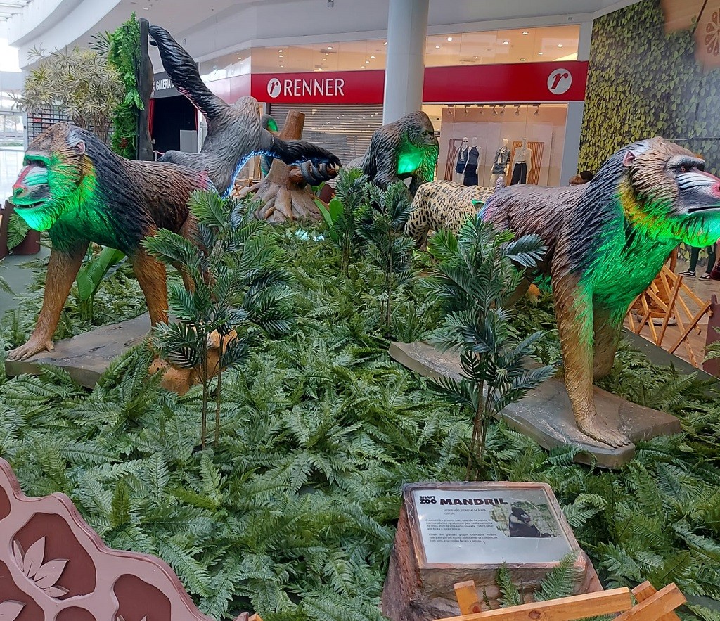 Partage Shopping inaugura exposição inédita no RS sobre a vida selvagem