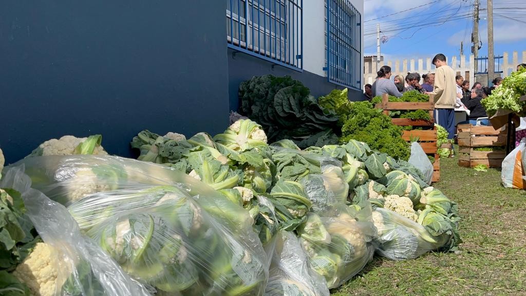 Mais de 250 famílias são beneficiadas por cestas adquiridas pelo Programa de Aquisição de Alimentos