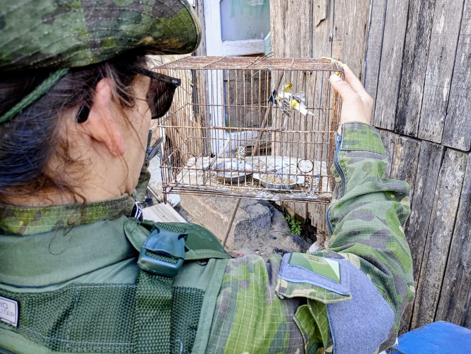 Patram localiza aves em condição de maus-tratos, em Rio Grande