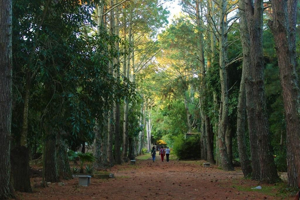 Horto do Cassino agora abre também aos domingos