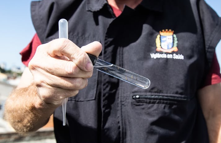 Pelotas completa um mês sem novos casos confirmados de dengue