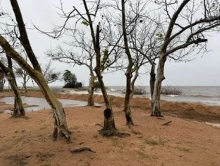 Em São Lourenço do Sul nível da Lagoa dos Patos recua, mas previsão do tempo deixa cidade atenta
