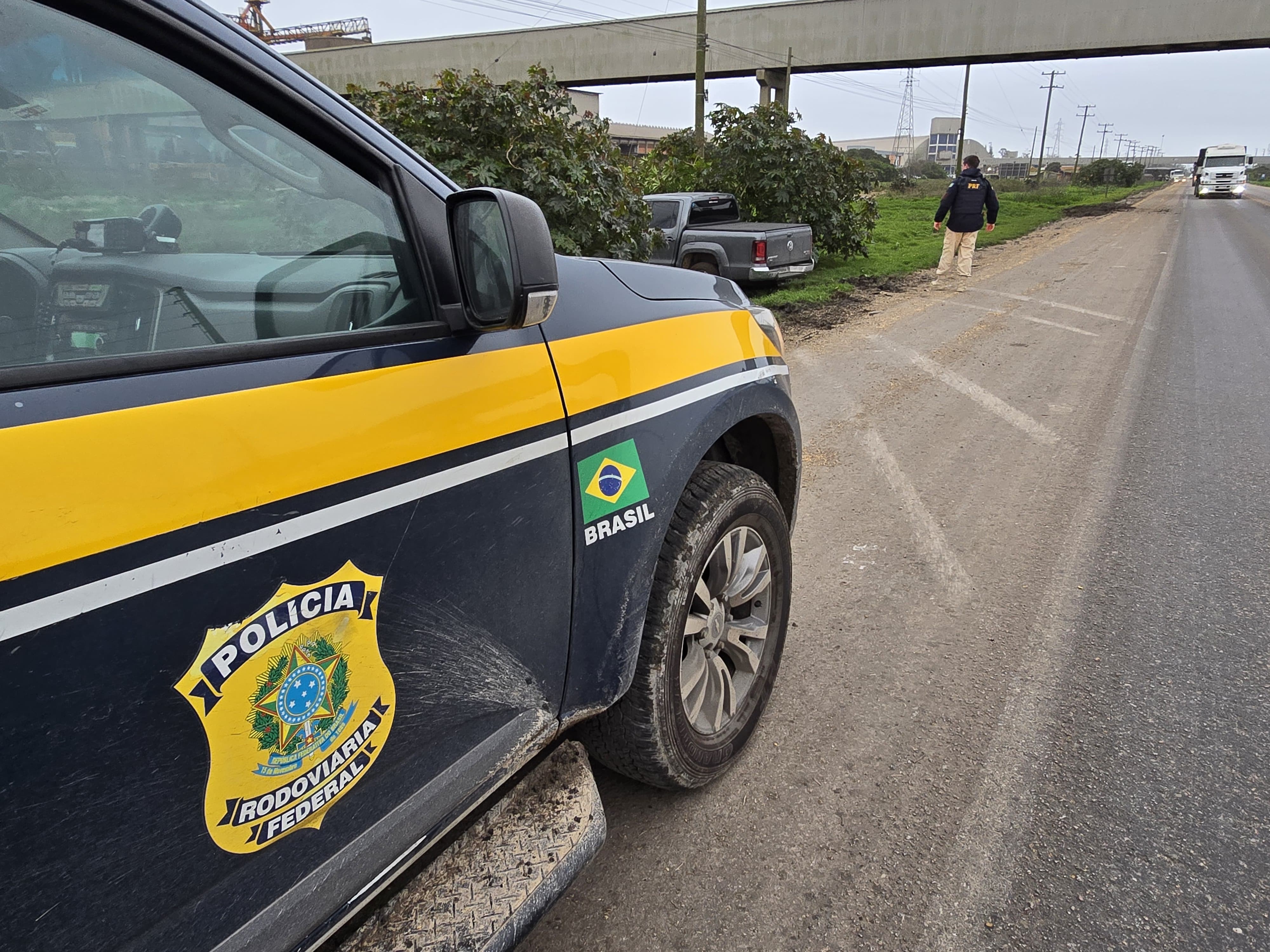Homem é preso após furtar caminhonete e fugir pela BR-392, em Rio Grande