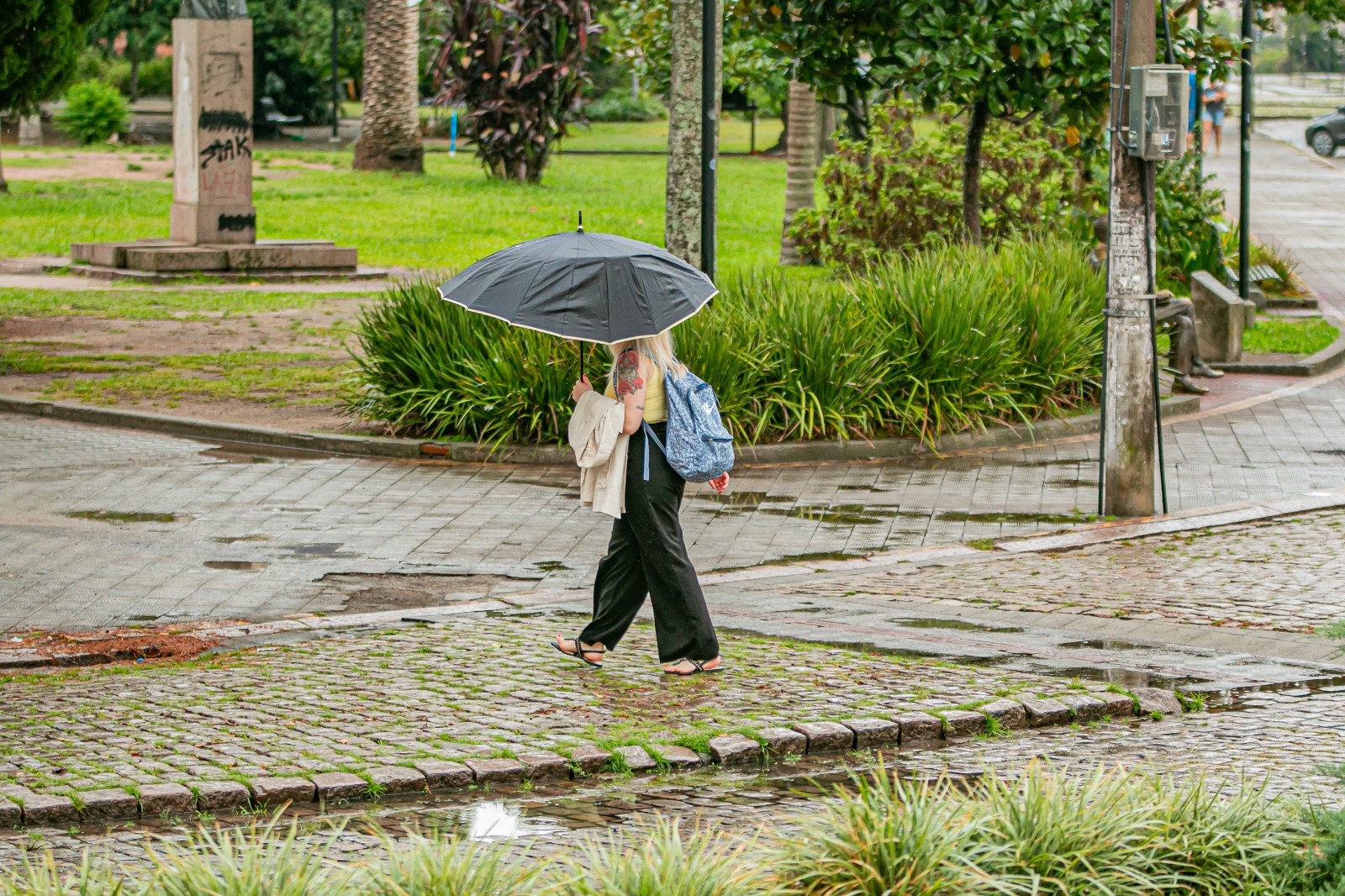 UFPel e UCPel mantêm atividades suspensas nessa terça-feira (18)