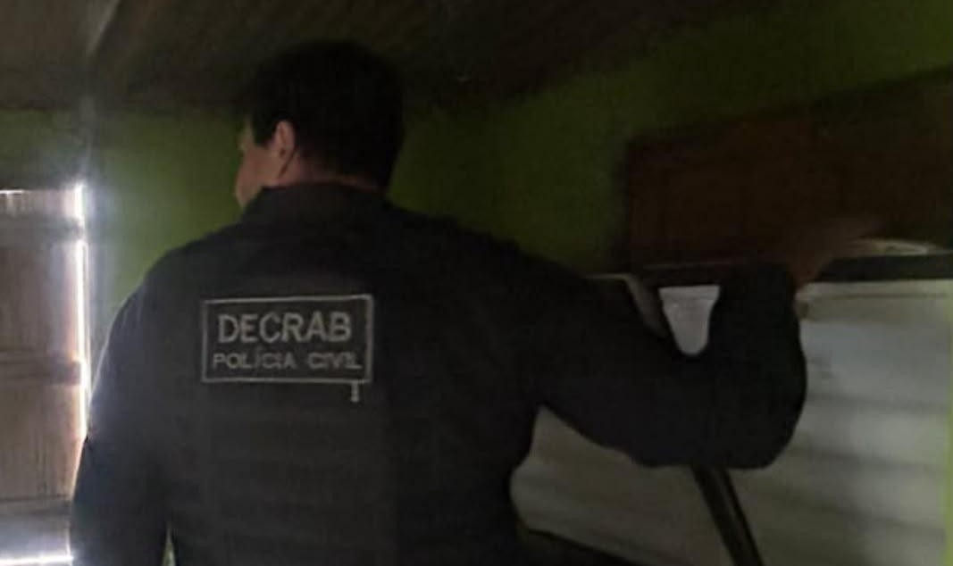 Abatedouro clandestino é localizado pela DECRAB na Ilha da Torotama