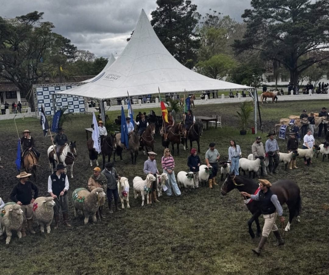 Centenária Expofeira de Pelotas reúne mais de 150 mil visitantes e movimenta milhões em negócios