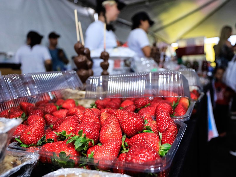 Feira do Morango em Pelotas será aberta dia 15