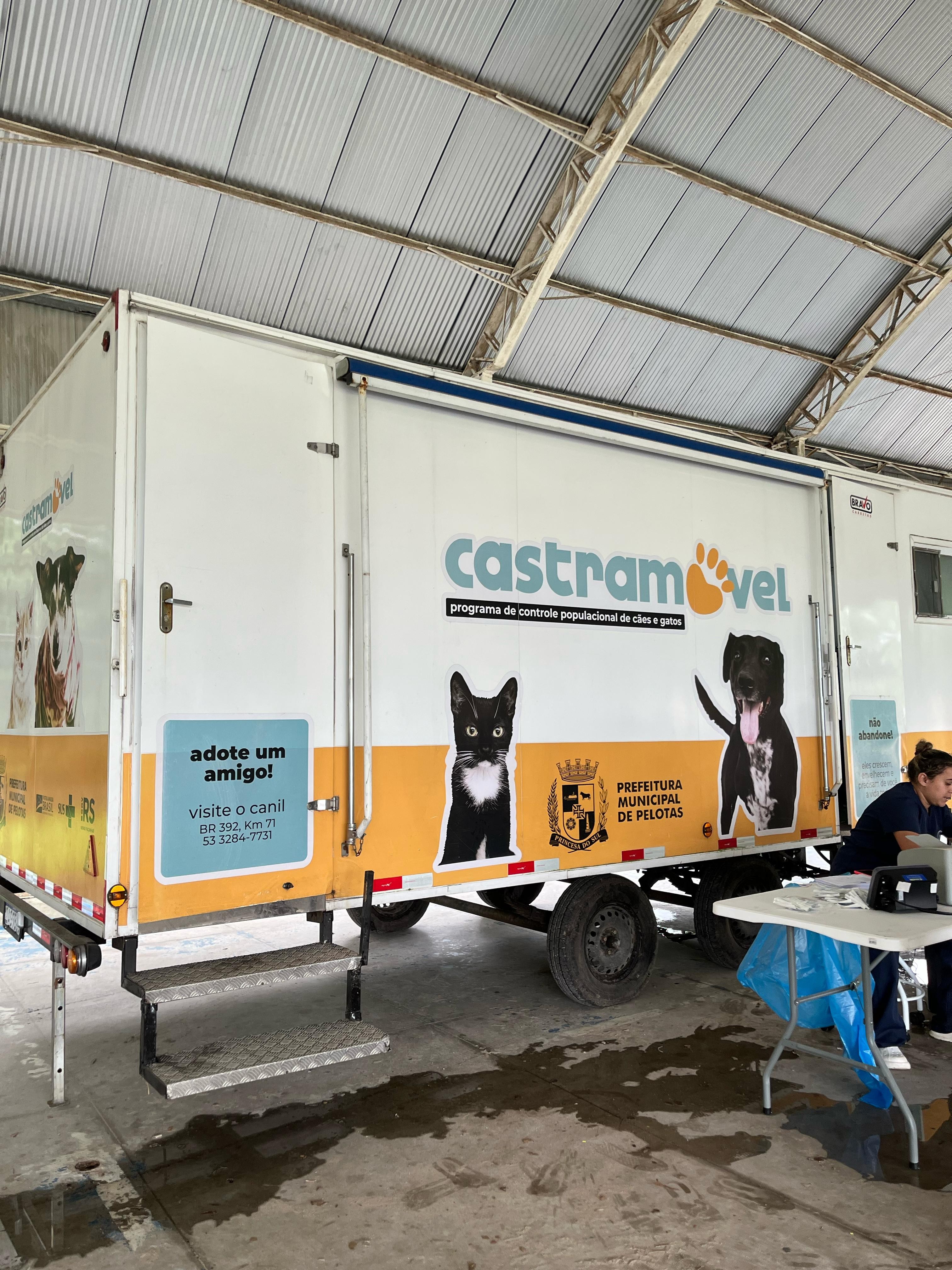 Inscrições estão abertas para castração gratuita de cães e gatos no bairro Porto, em Pelotas