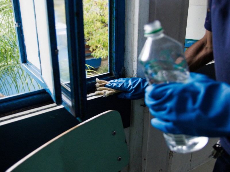 Confirmado presença do Norovírus em surto de março em Pelotas