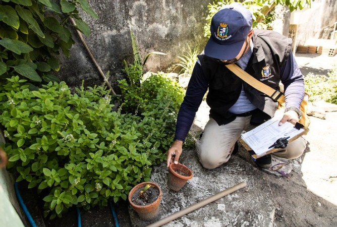 Pelotas registra novos casos de dengue e acende alerta para avanço do mosquito