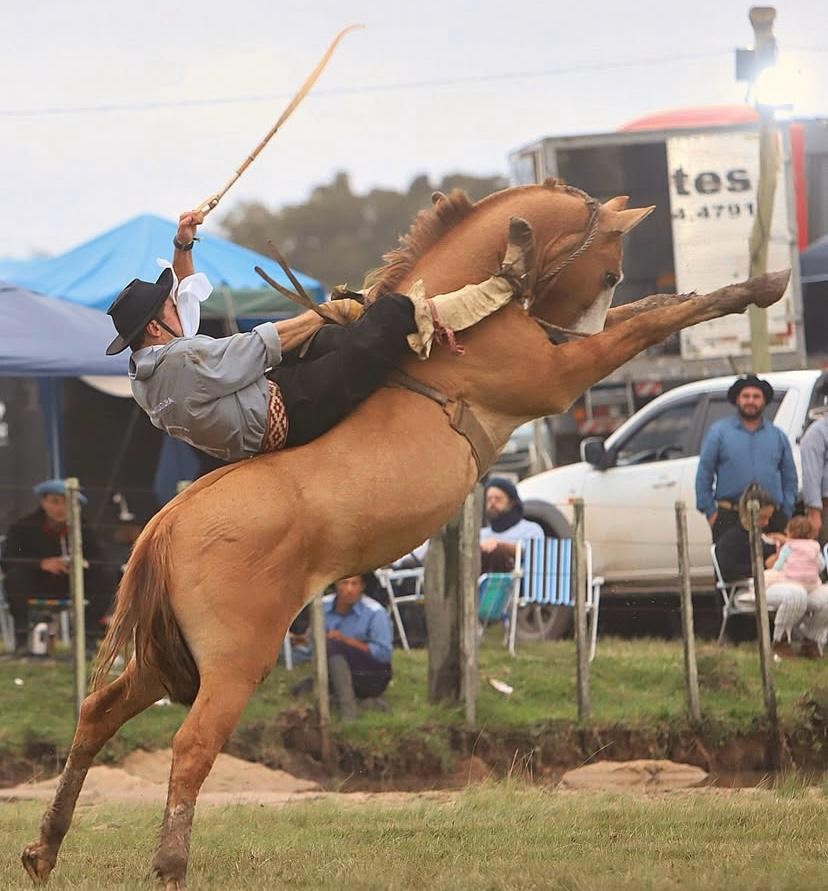 Rodeio Internacional de Pelotas ocorre nesse final de semana com expectativa de grande público