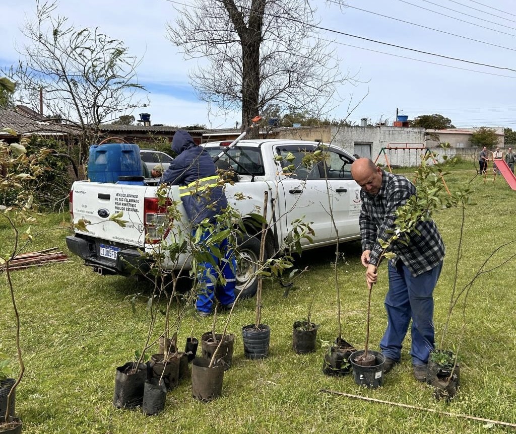 Rio Grande é reconhecida internacionalmente por excelência em arborização urbana