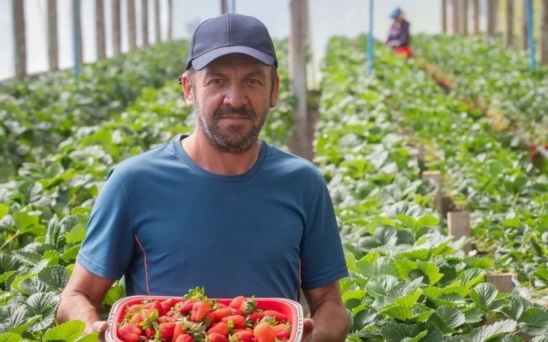 Reconstituição da morte de agricultor morto em Pelotas ocorrerá nos dias 12 e 13
