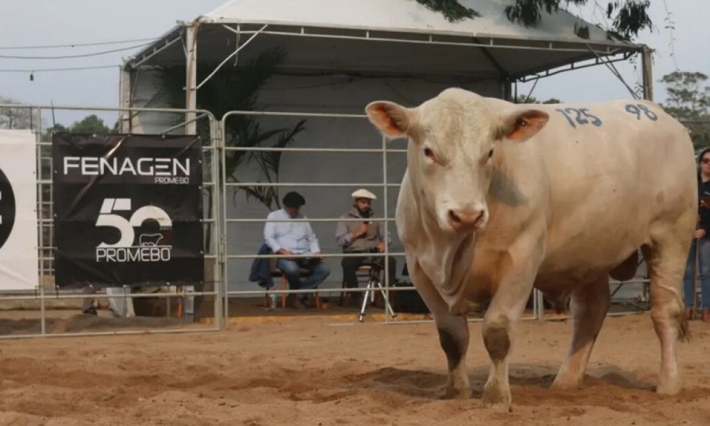 ANC abre inscrições para Fenagen Promebo em Pelotas