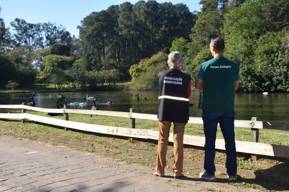 Exames afastam suspeita de gripe aviária em aves de zoológico gaúcho