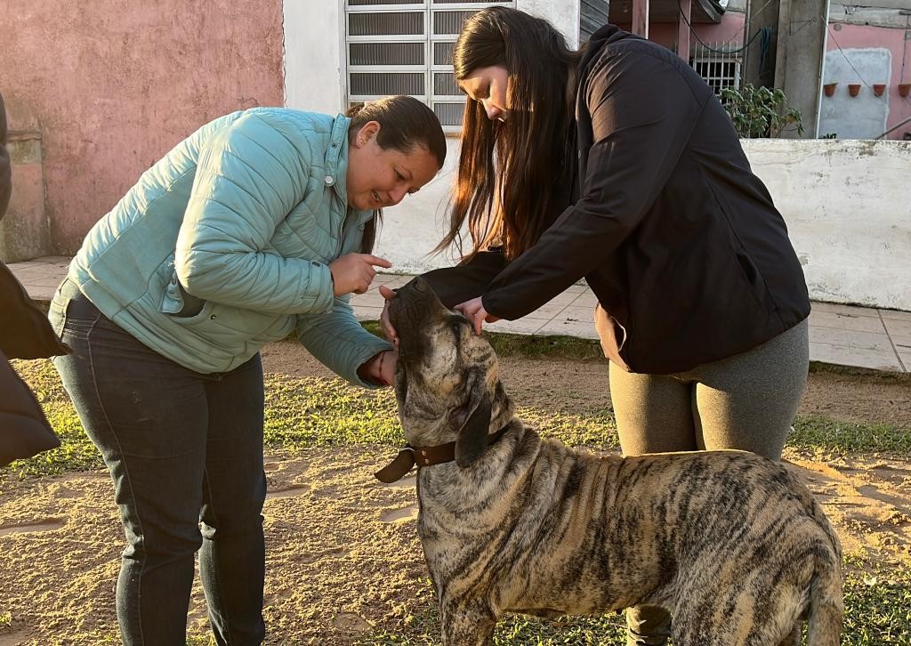 Castração gratuita de animais chega ao Taim com novos agendamentos para moradores da região