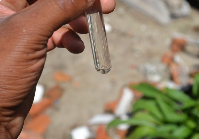 Pelotas registra mais um caso de dengue em 2026